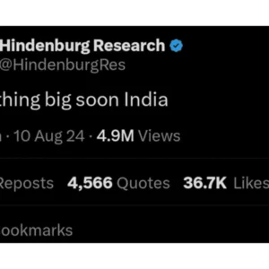 hindenburg research